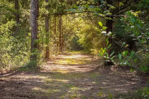 11418 NW 161st Street Alachua FL 32615