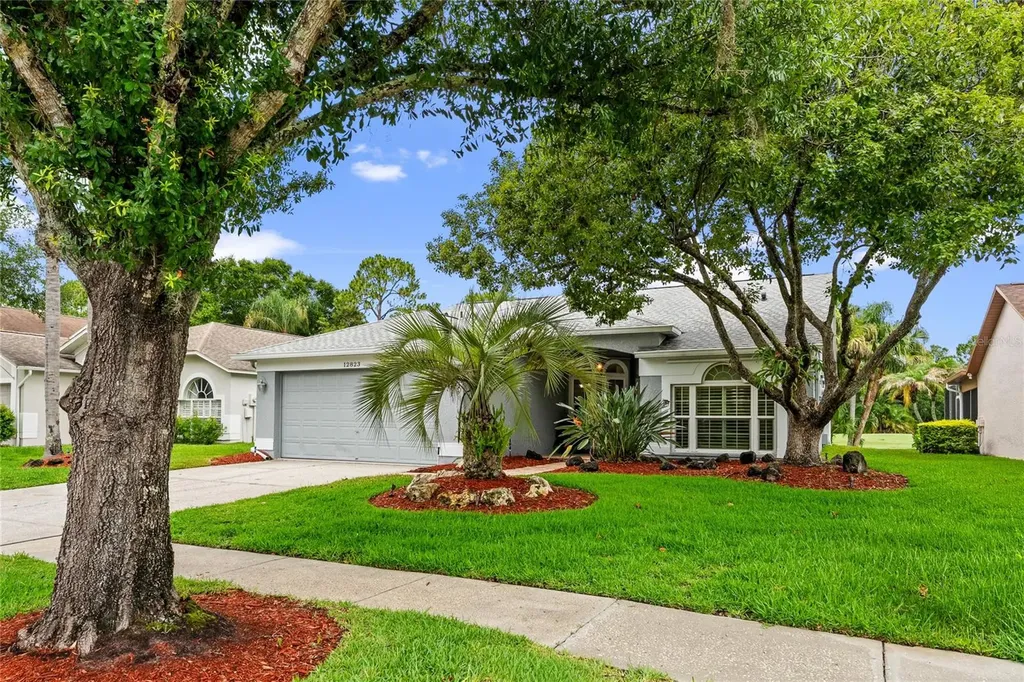12823 Royal George Avenue Odessa FL 33556