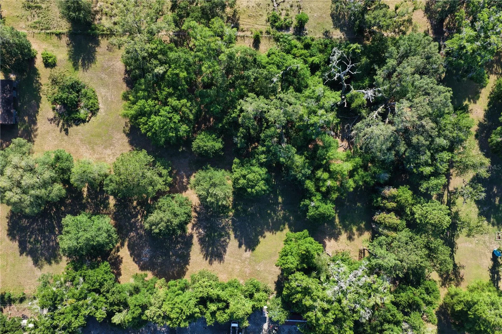 19328 SW 58th Place Archer FL 32618