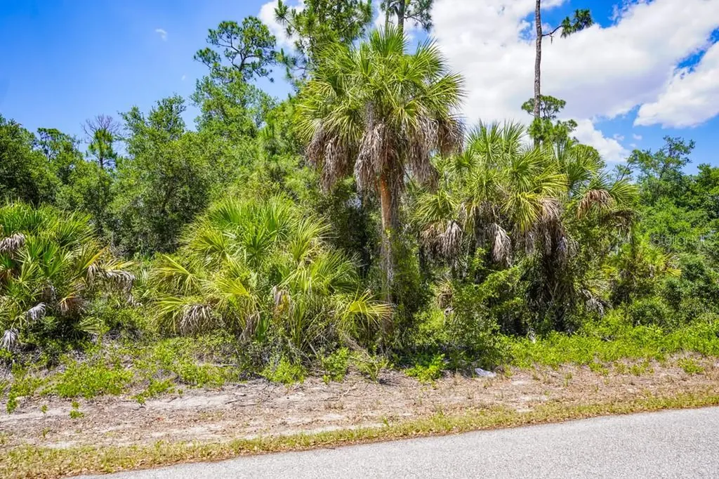 17428 Iago Avenue Port Charlotte FL 33954