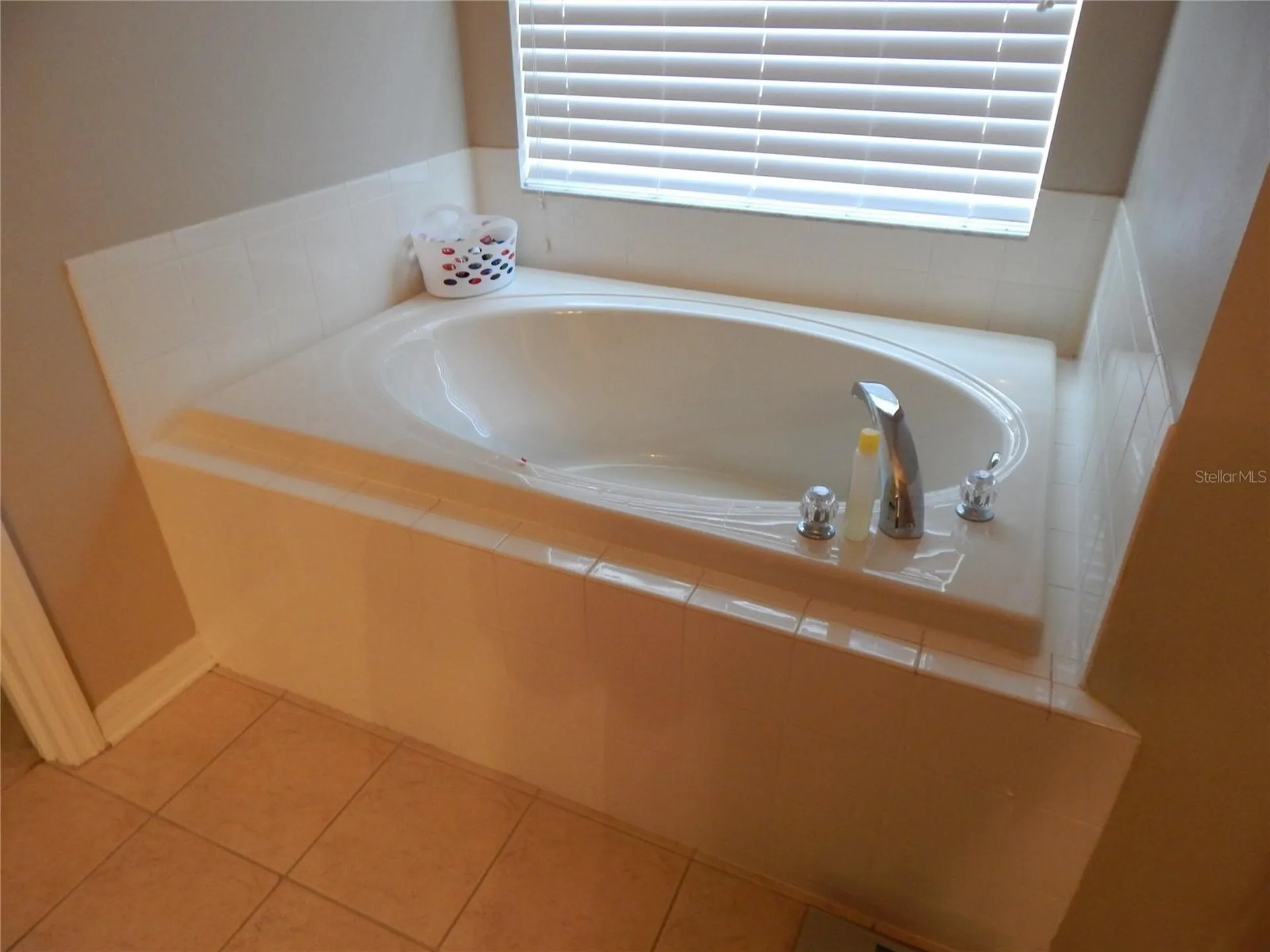 6433 Bridgecrest Drive Lithia FL 33547