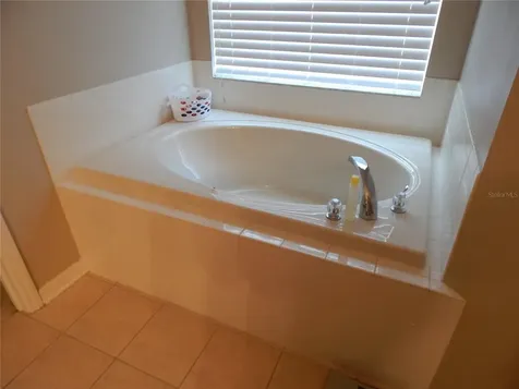 6433 Bridgecrest Drive Lithia FL 33547