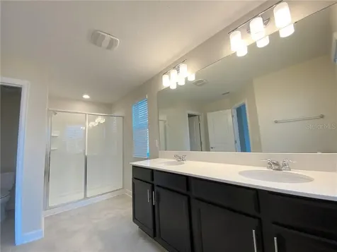 11061 Vignette Alley Winter Garden FL 34787