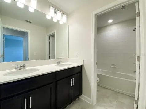 11061 Vignette Alley Winter Garden FL 34787