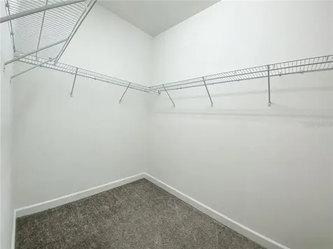 11061 Vignette Alley Winter Garden FL 34787