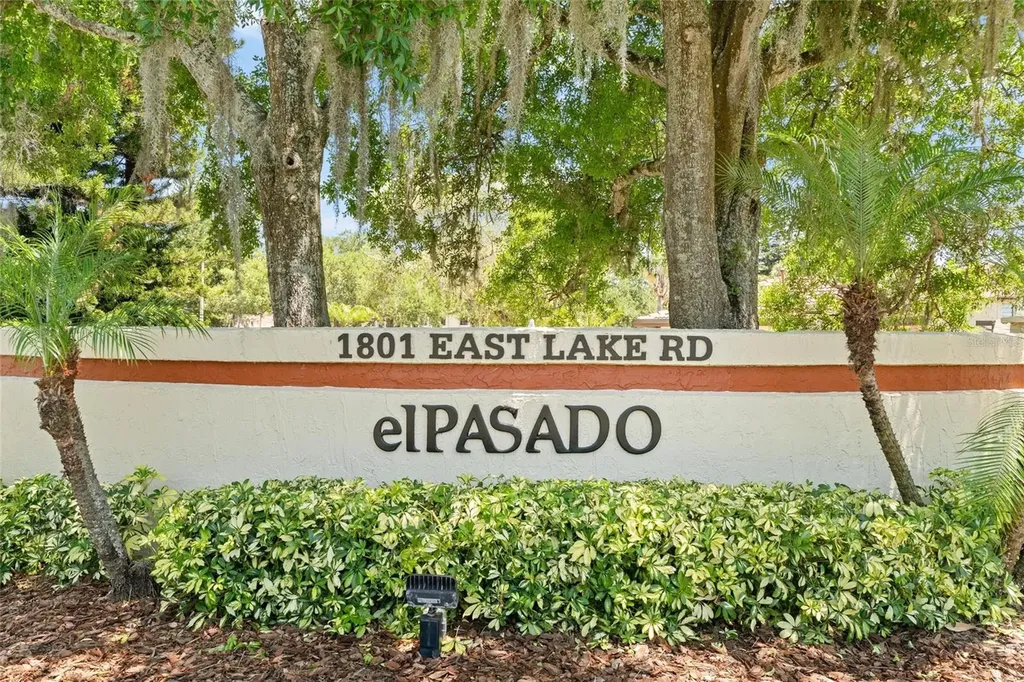 1801 E Lake Road Palm Harbor FL 34685