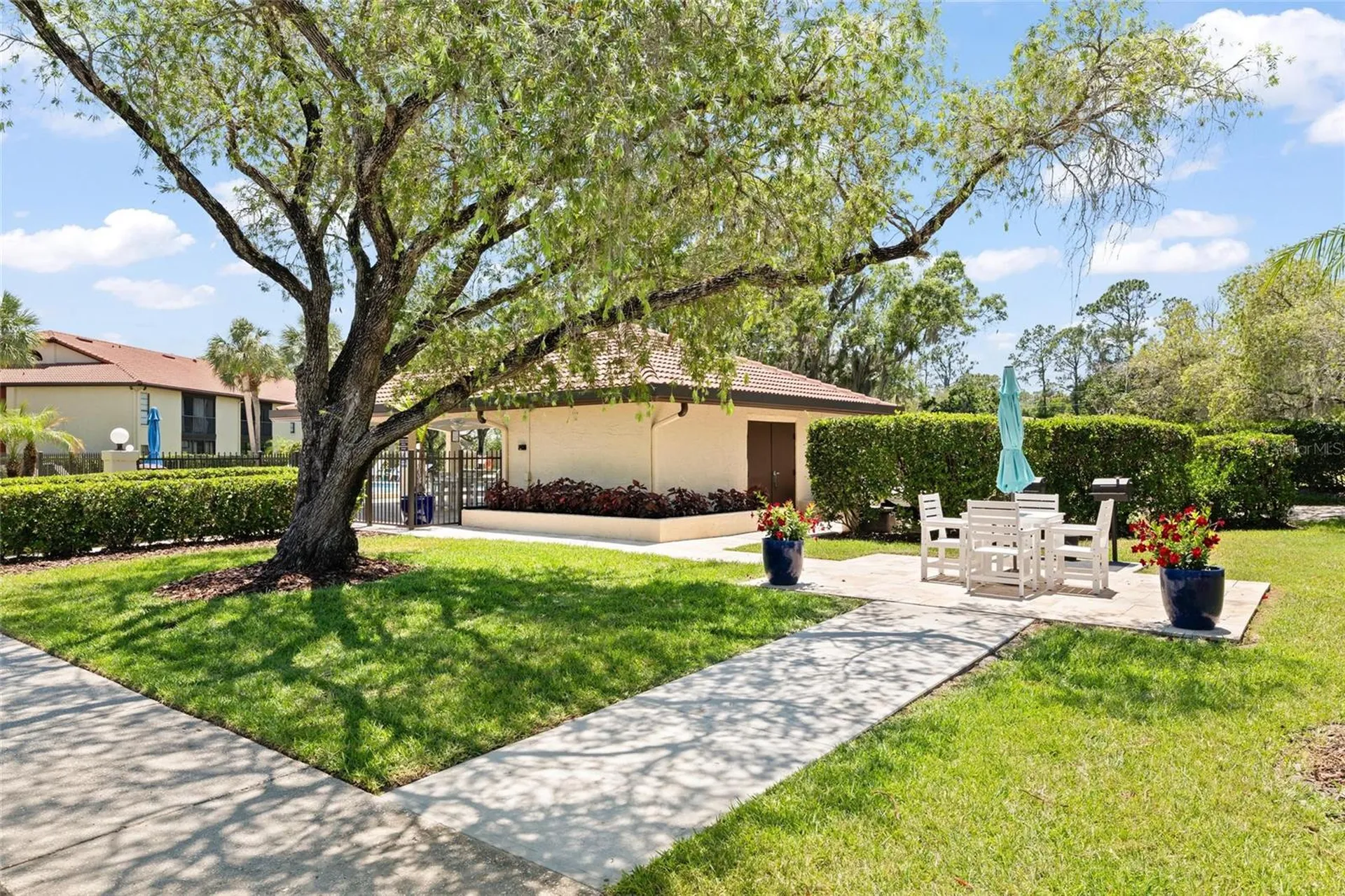 1801 E Lake Road Palm Harbor FL 34685