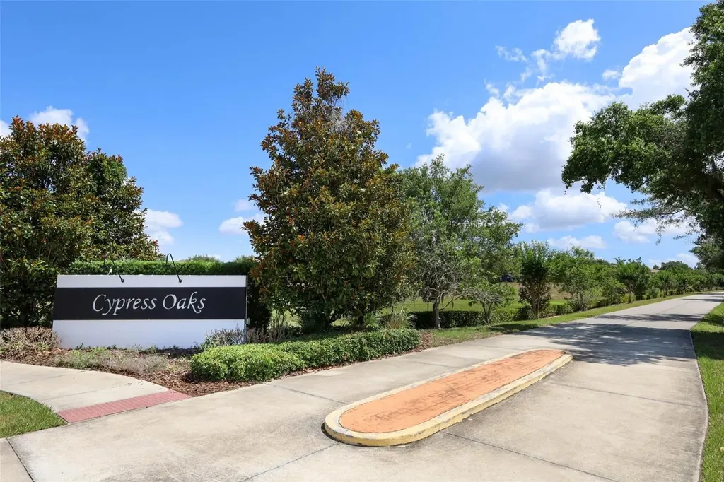 9175 Chandler Drive Groveland FL 34736