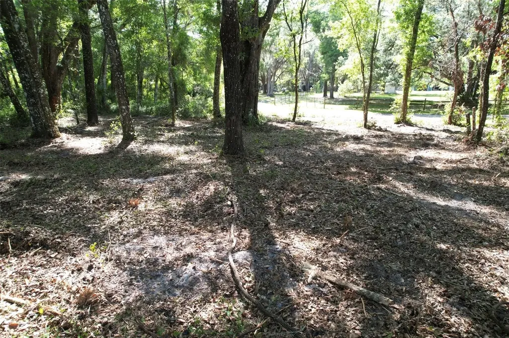 SE 164th Terrace Williston FL 32696
