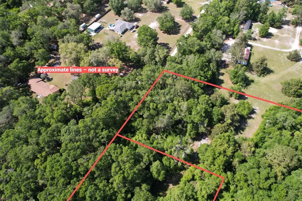 SE 164th Terrace Williston FL 32696