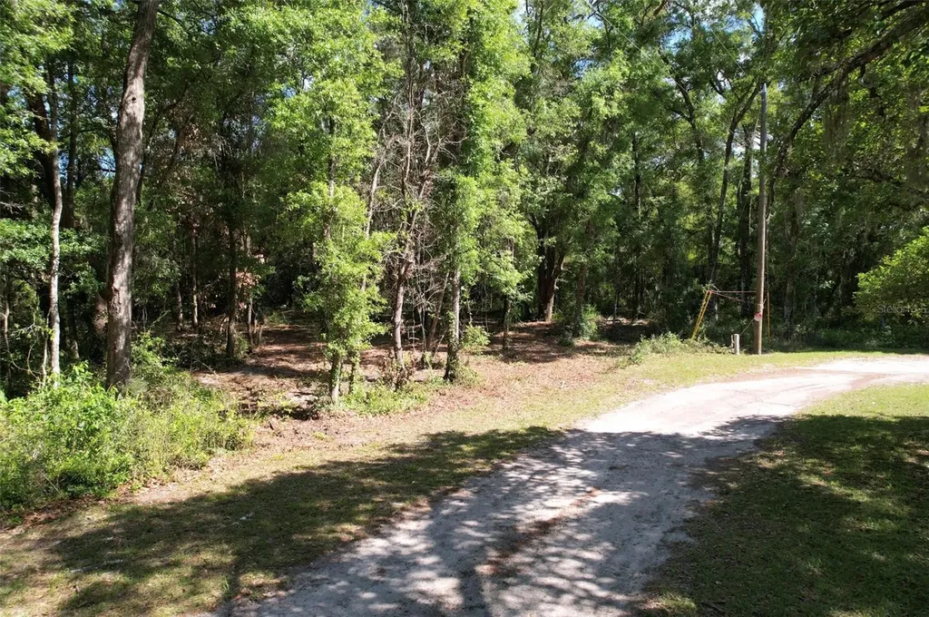 SE 164th Terrace Williston FL 32696