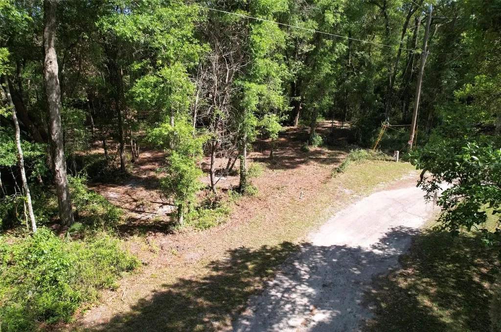 SE 164th Terrace Williston FL 32696