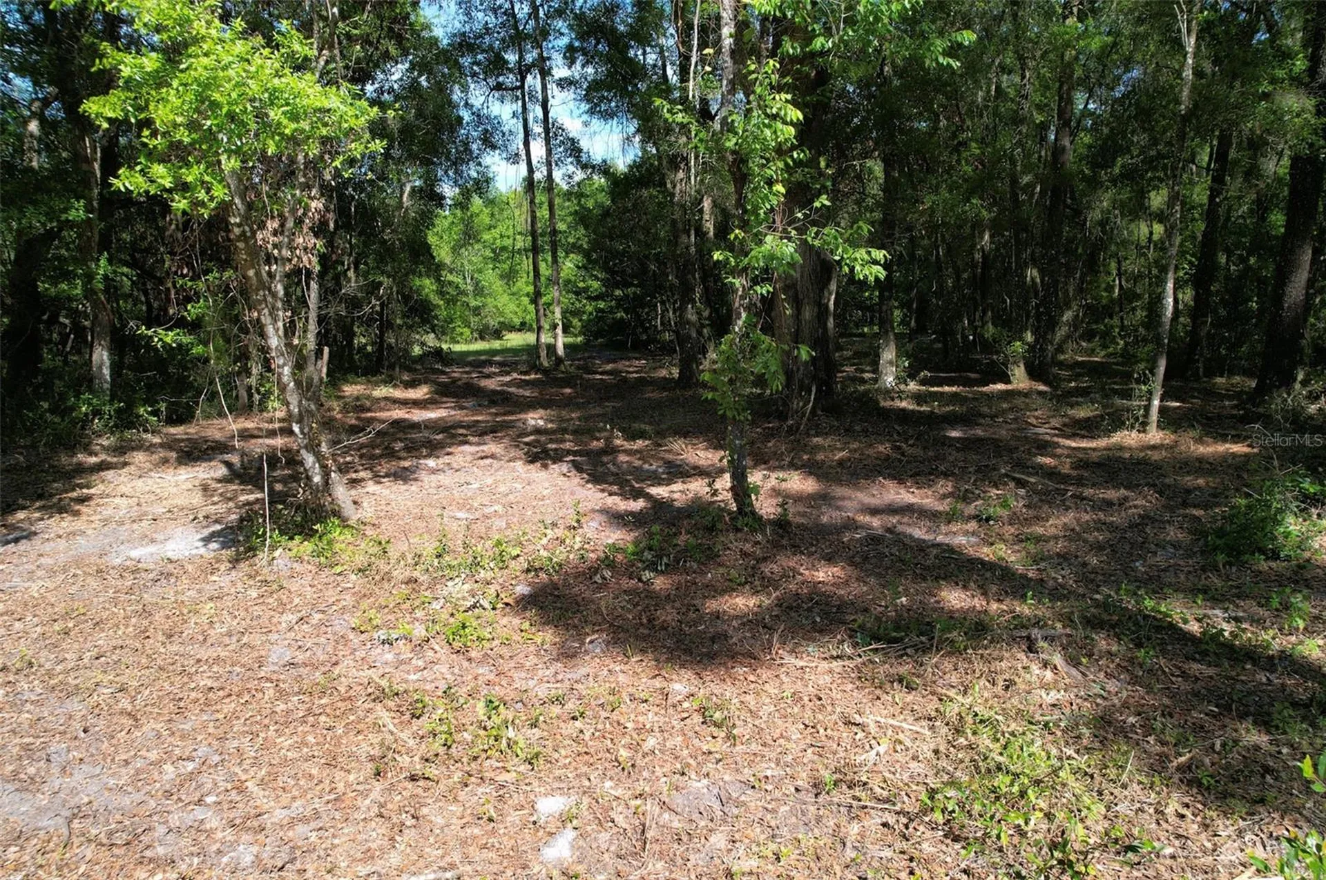 SE 164th Terrace Williston FL 32696