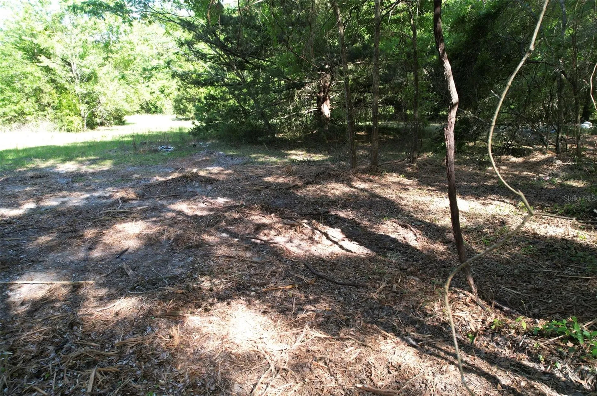 SE 164th Terrace Williston FL 32696