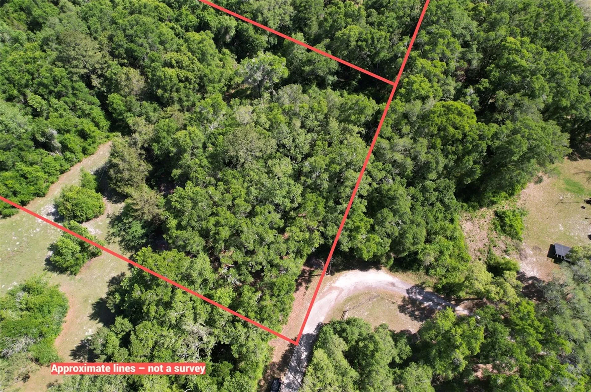SE 164th Terrace Williston FL 32696
