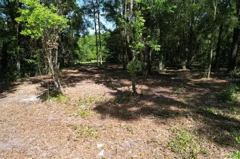 SE 164th Terrace Williston FL 32696