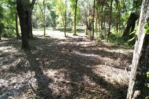 SE 164th Terrace Williston FL 32696
