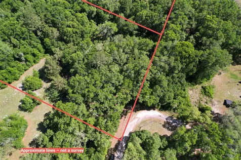 SE 164th Terrace Williston FL 32696