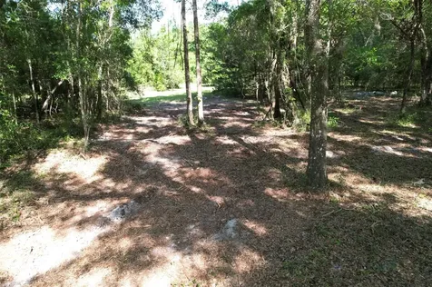 SE 164th Terrace Williston FL 32696