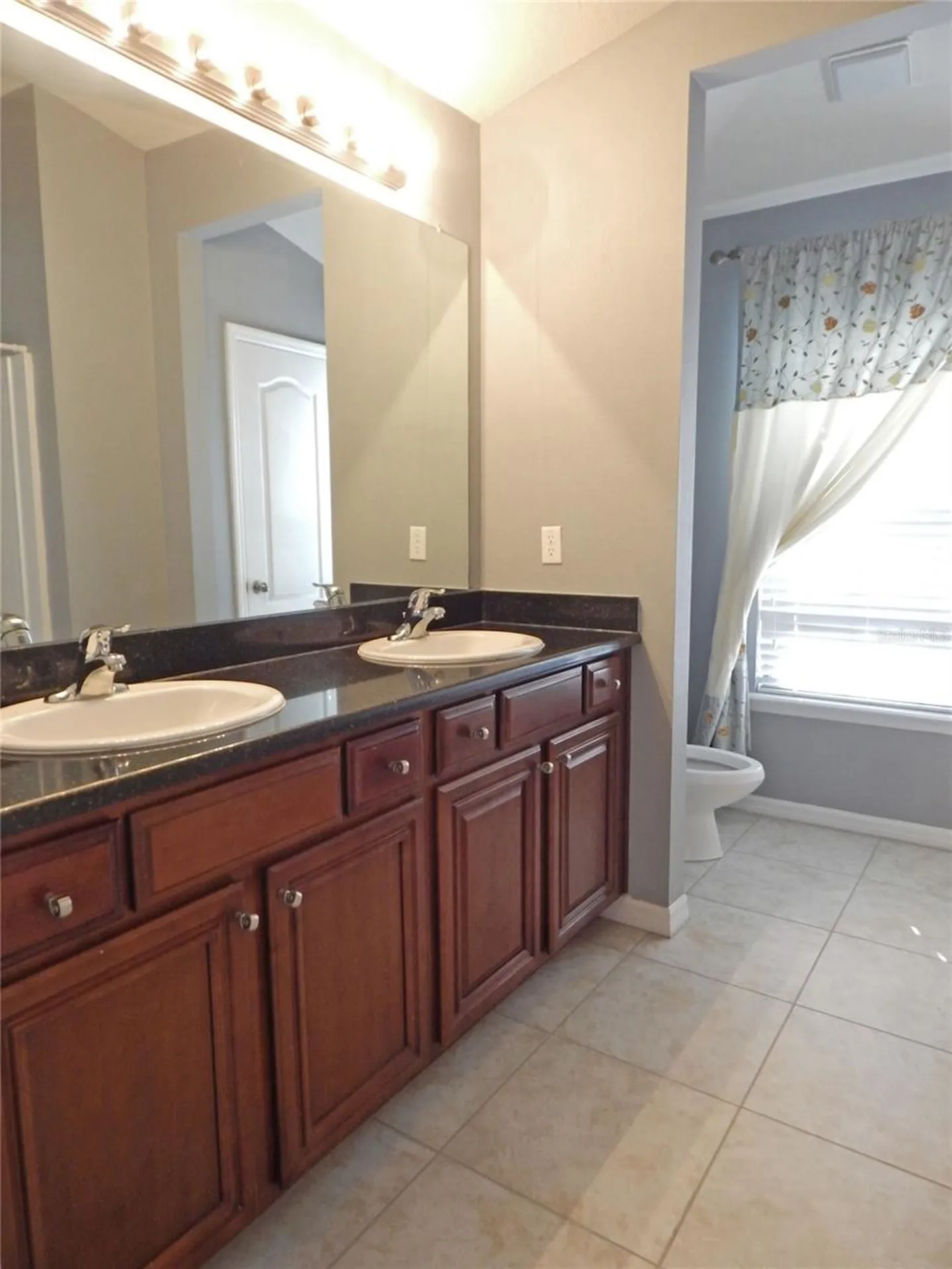 16411 Kingletridge Avenue Lithia FL 33547