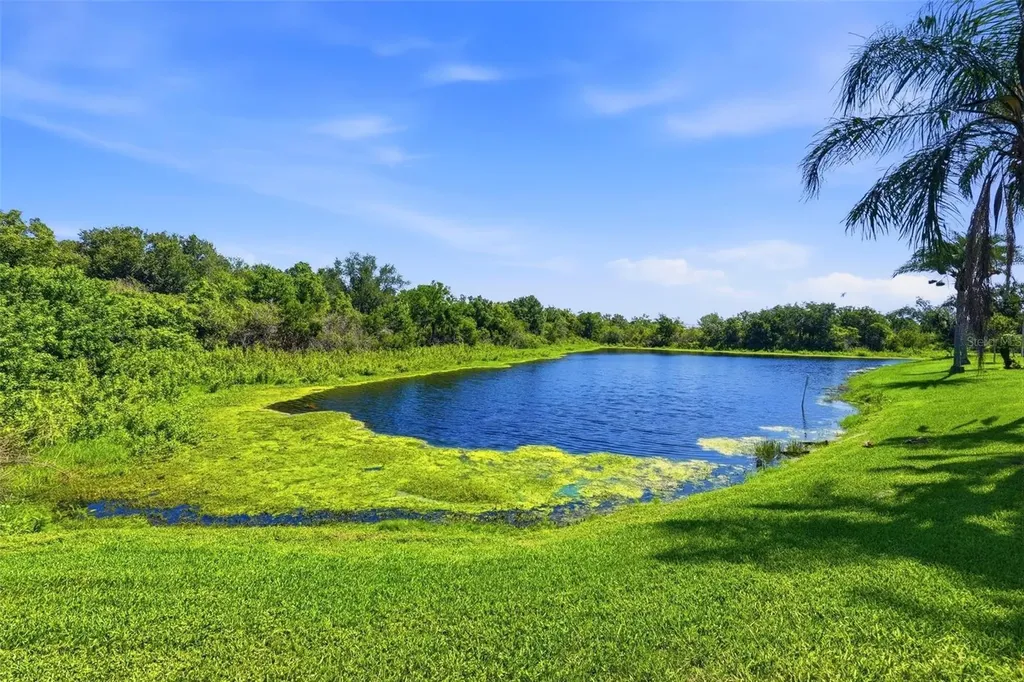 13010 Prestwick Drive Riverview FL 33579