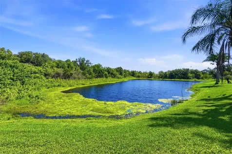 13010 Prestwick Drive Riverview FL 33579