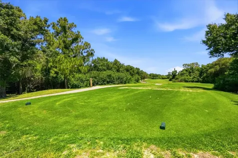 13010 Prestwick Drive Riverview FL 33579