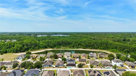 5521 Shasta Daisy Place Land O Lakes FL 34639