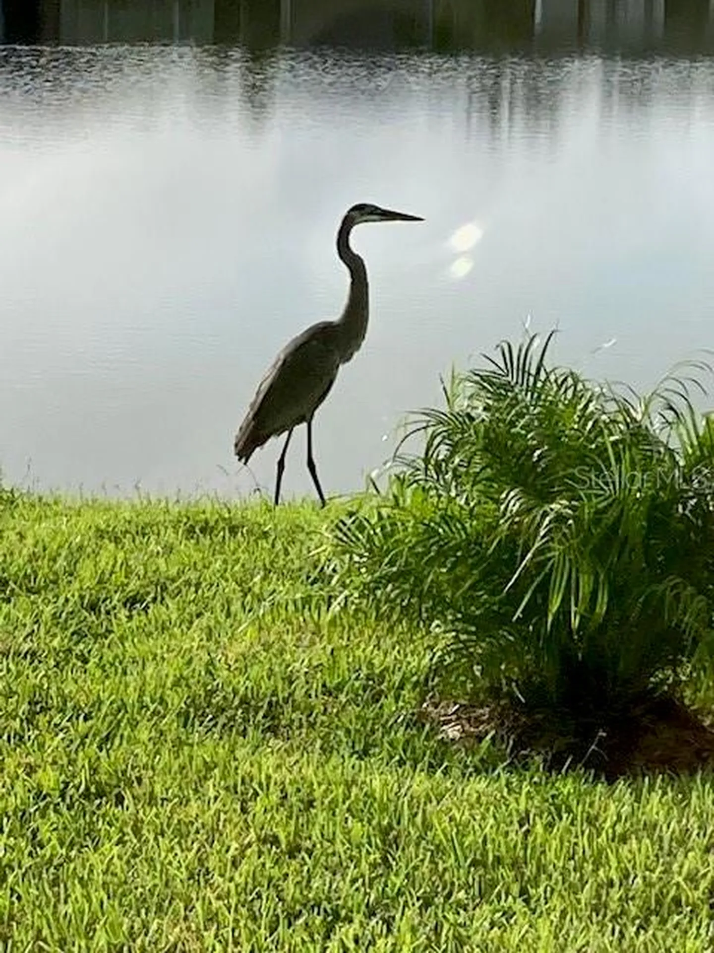 1601 Delphi Way New Smyrna Beach FL 32168
