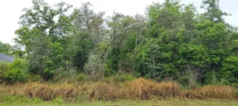 Spruce Road Ocala FL 34472
