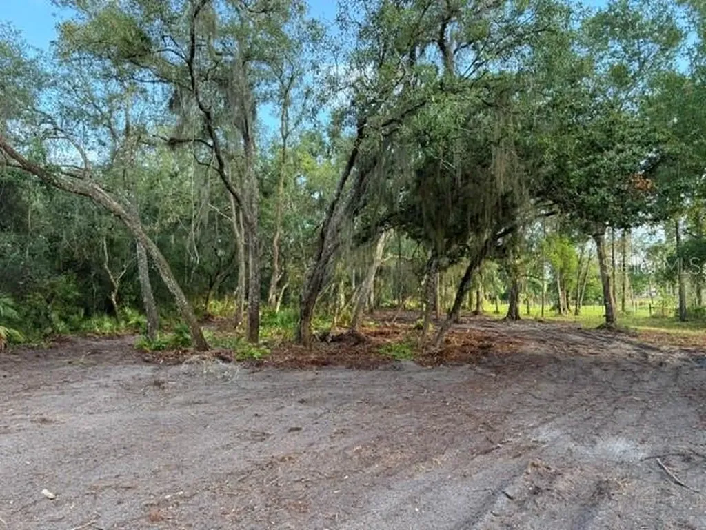 Spring Garden Ranch Road De Leon Springs FL 32130