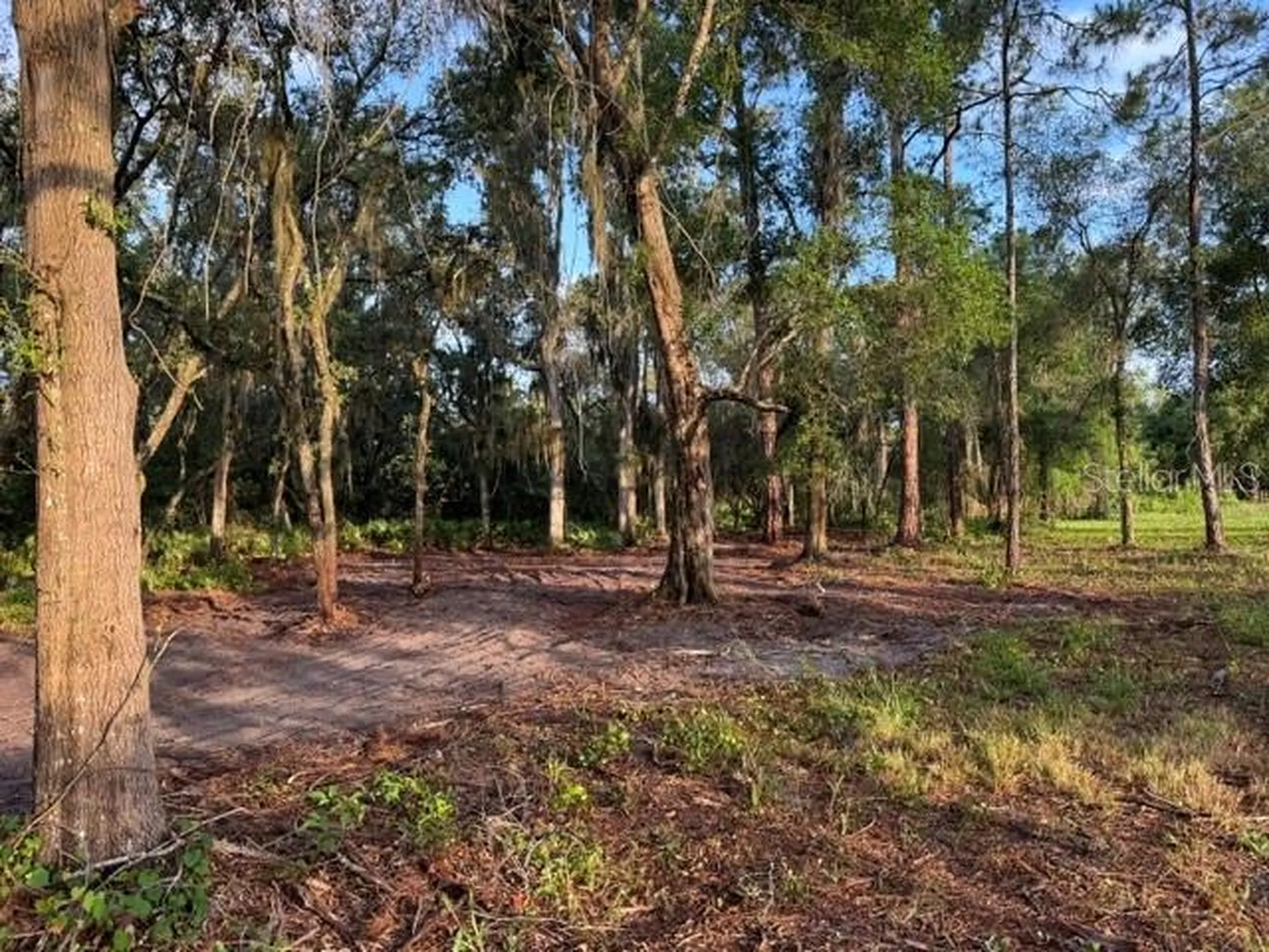 Spring Garden Ranch Road De Leon Springs FL 32130