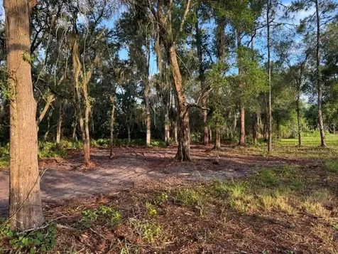 Spring Garden Ranch Road De Leon Springs FL 32130