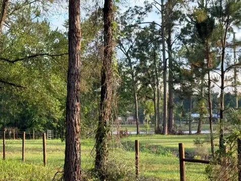 Spring Garden Ranch Road De Leon Springs FL 32130