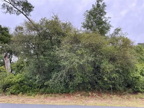 SW 165th Place Ocala FL 34473