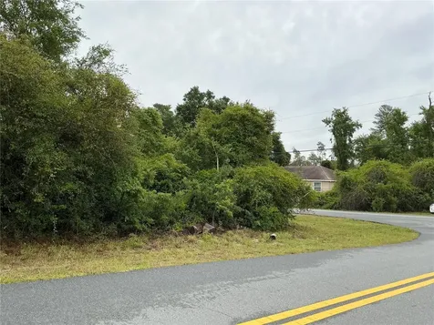 SW 165th Place Ocala FL 34473