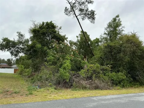 SW 165th Place Ocala FL 34473