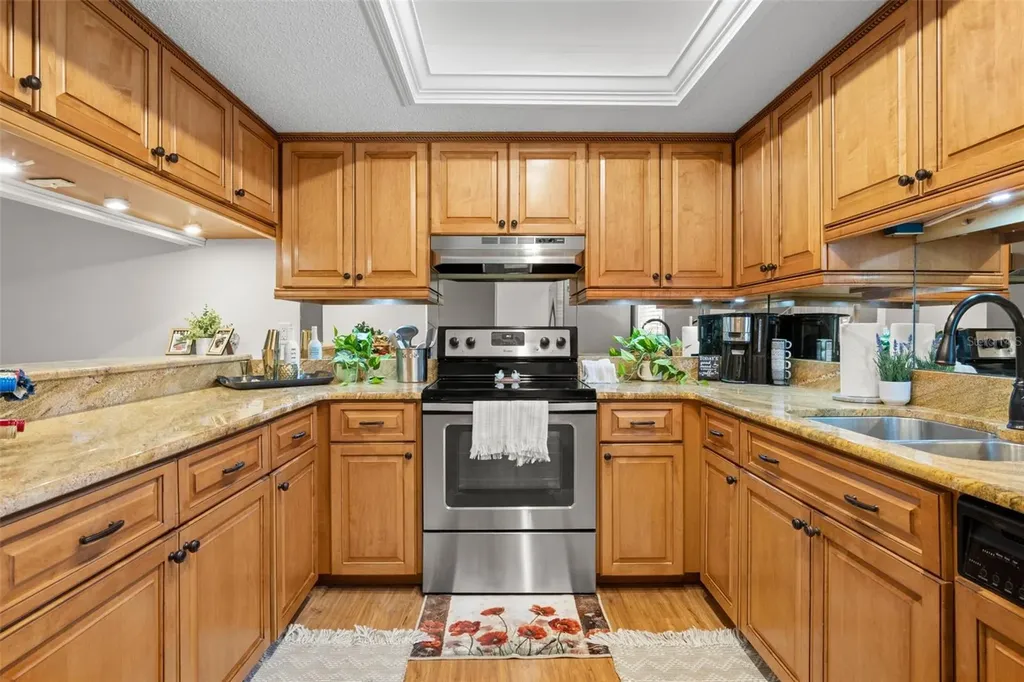30 Ingrid Place Oldsmar FL 34677