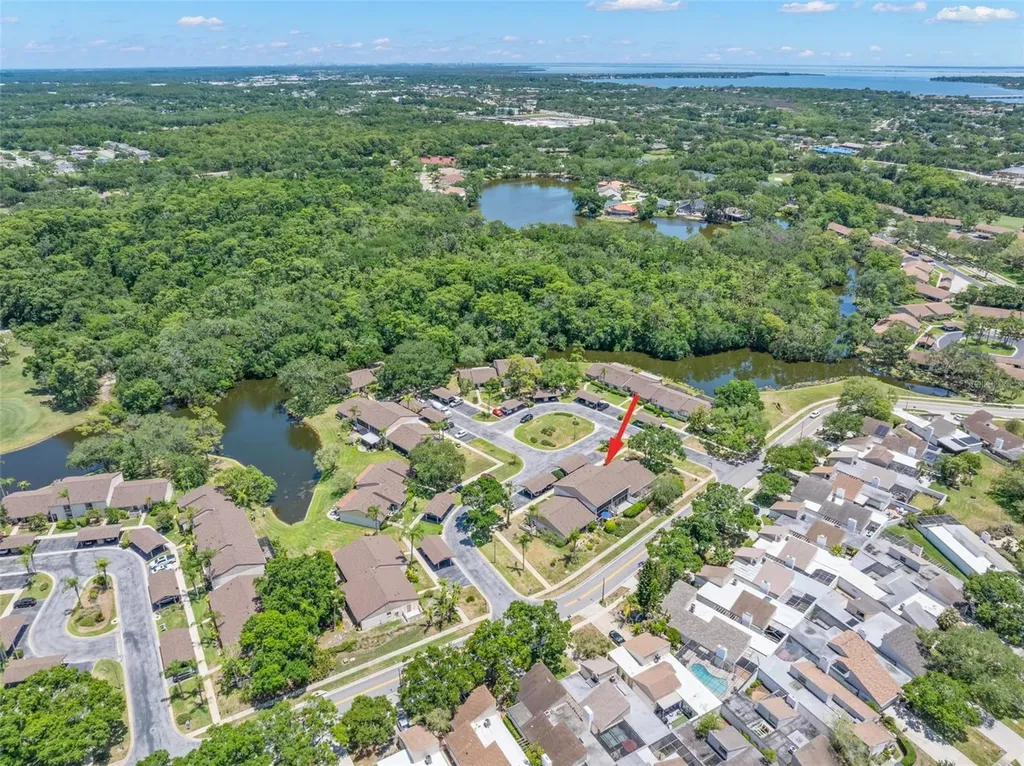 30 Ingrid Place Oldsmar FL 34677