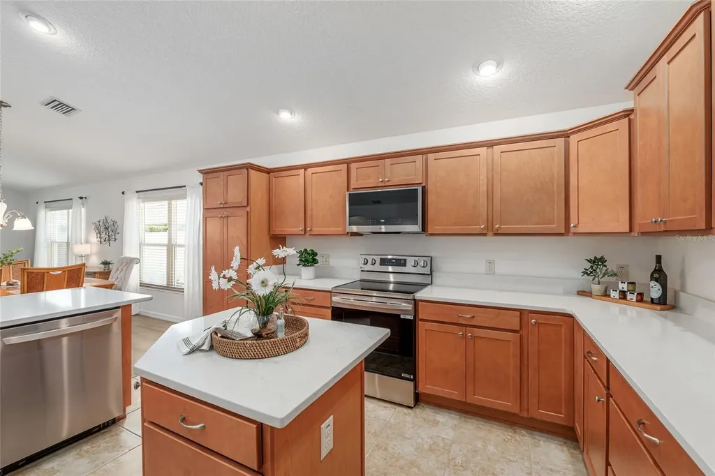 3481 Leelanau Court The Villages FL 32163