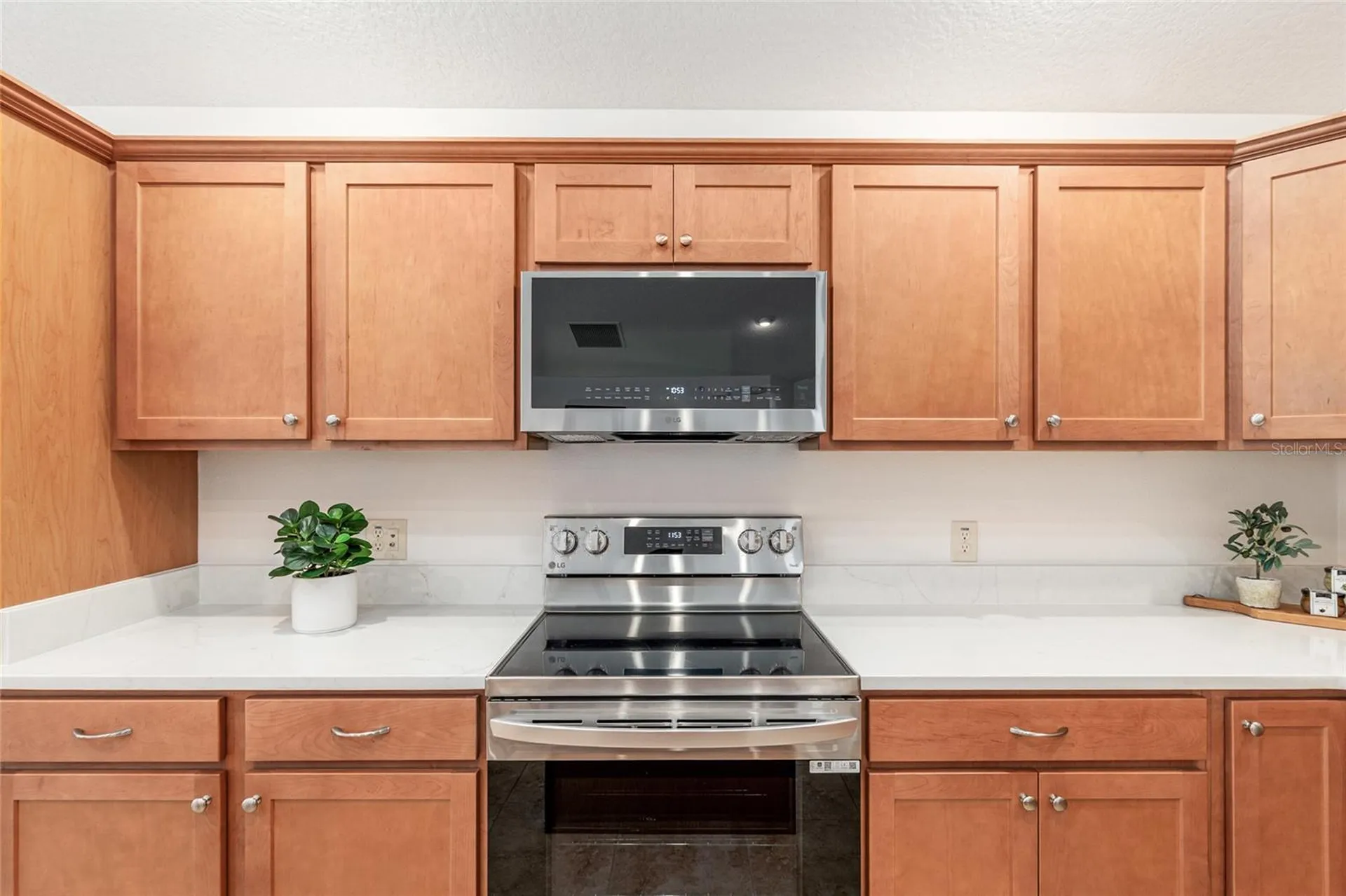 3481 Leelanau Court The Villages FL 32163