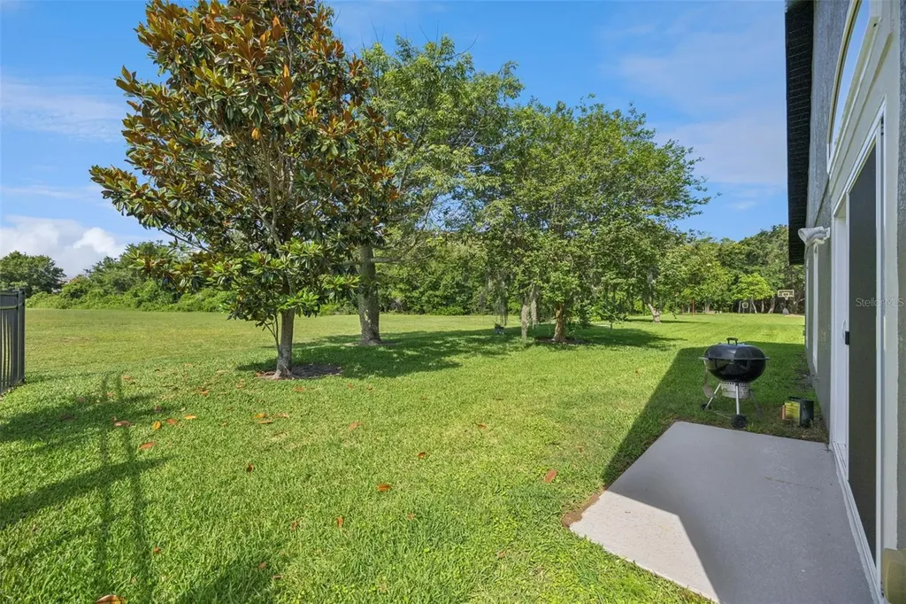 10736 Mere Parkway Orlando FL 32832