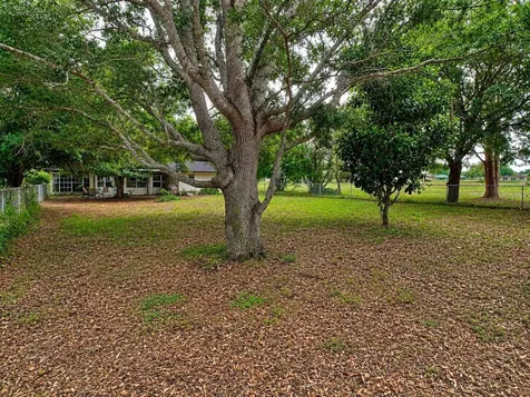 7317 Lime Tree Court Sebring FL 33876