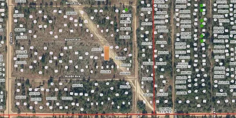 XX Boston Avenue Interlachen FL 32148