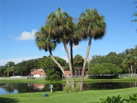 3001 58th Ave S Avenue S St Petersburg FL 33712