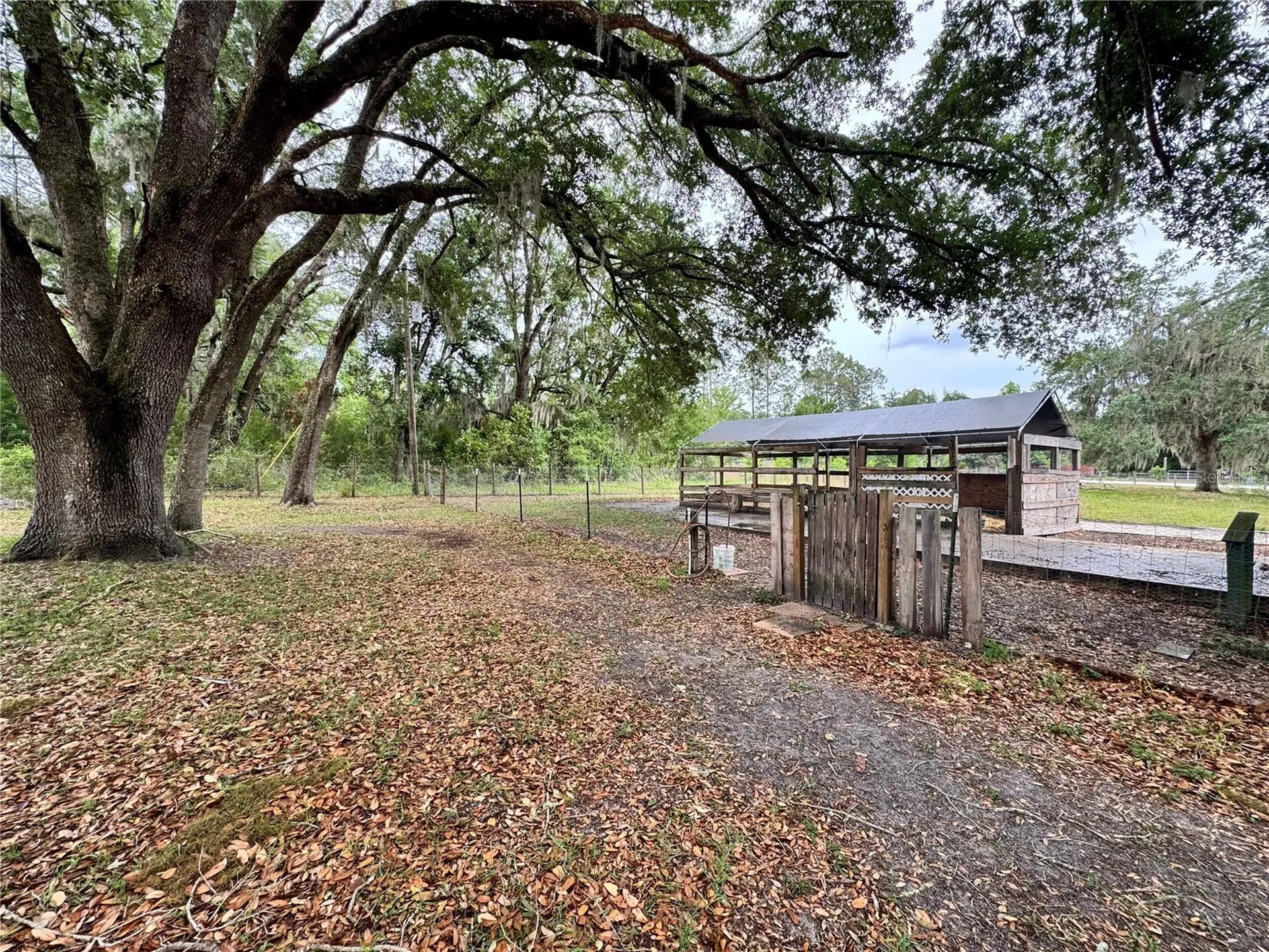16051 NE 71st Street Williston FL 32696