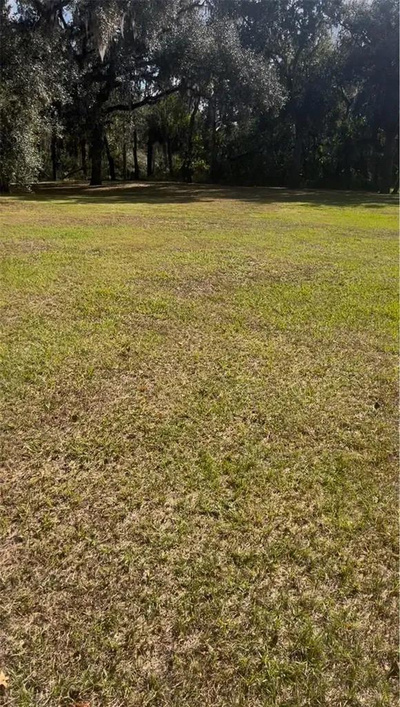 Coconut Cove Place Valrico FL 33596