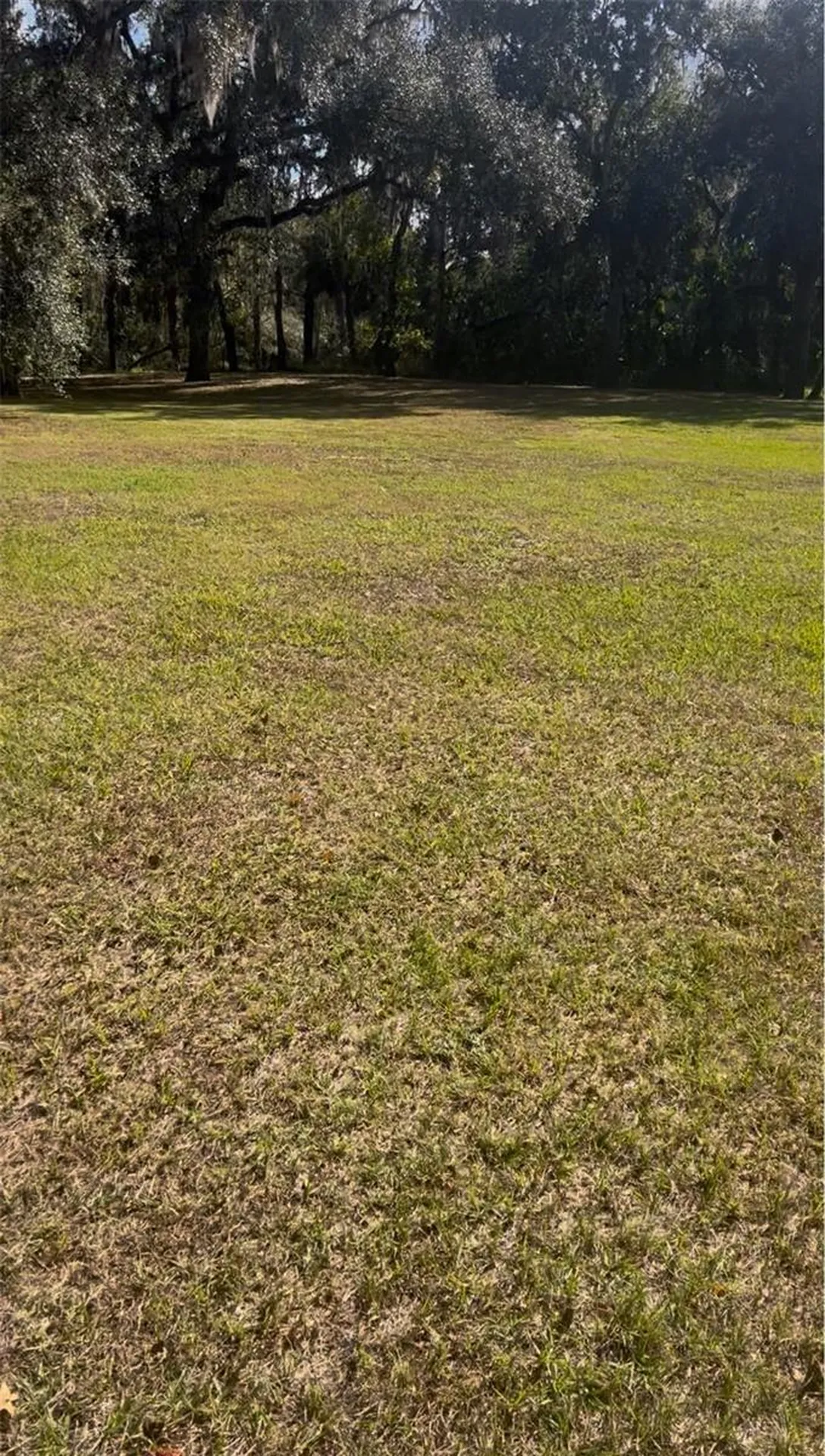 Coconut Cove Place Valrico FL 33596