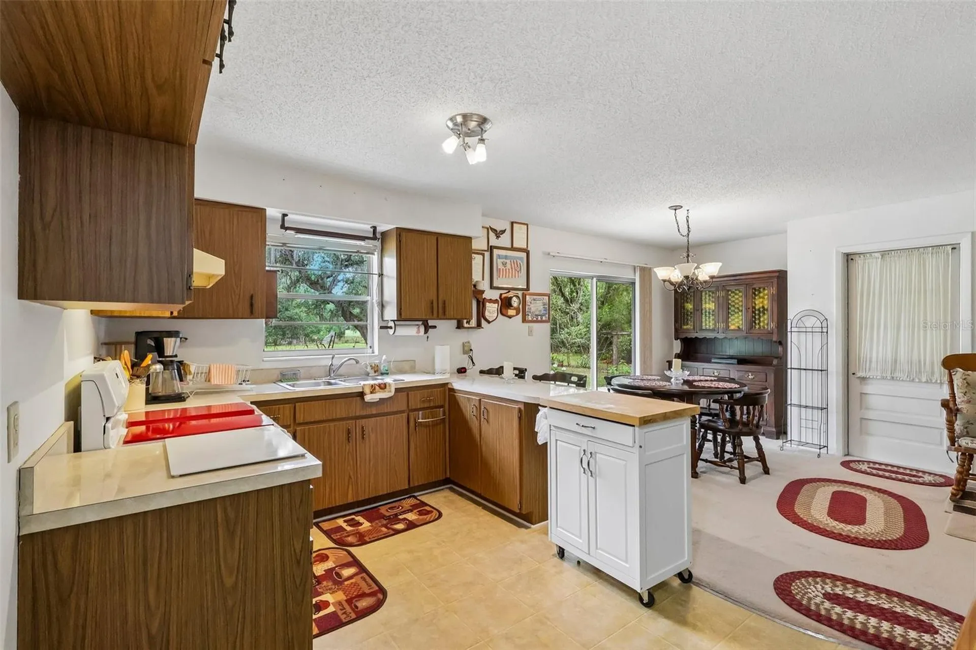774 SE 116th Lane Webster FL 33597