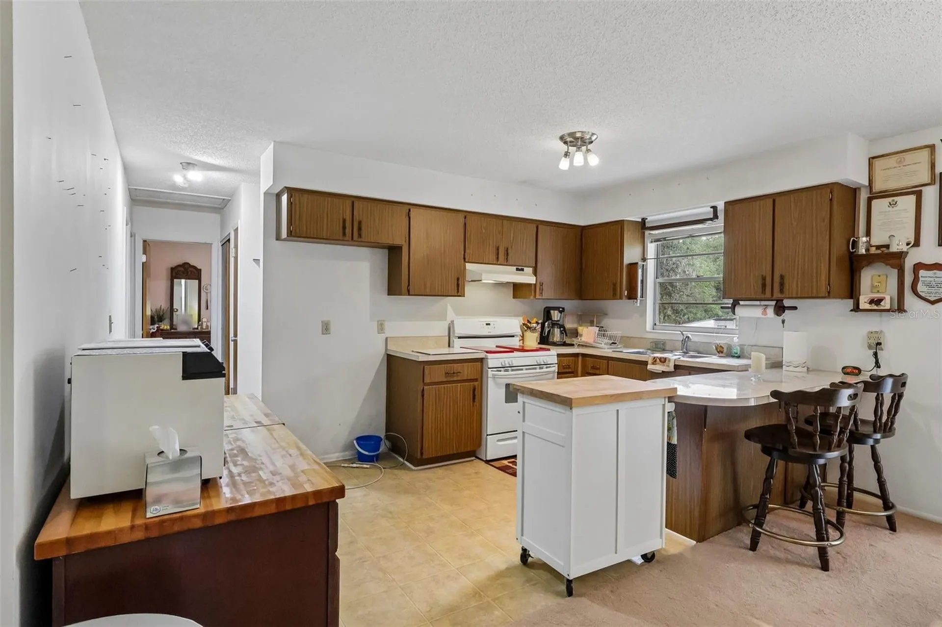 774 SE 116th Lane Webster FL 33597